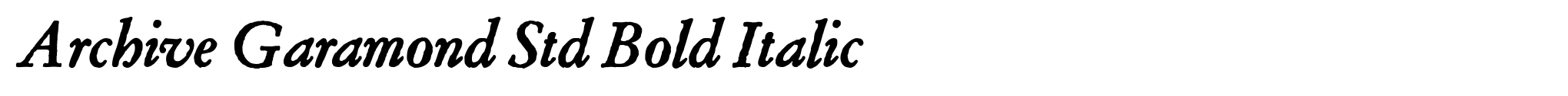 Archive Garamond Std Bold Italic image